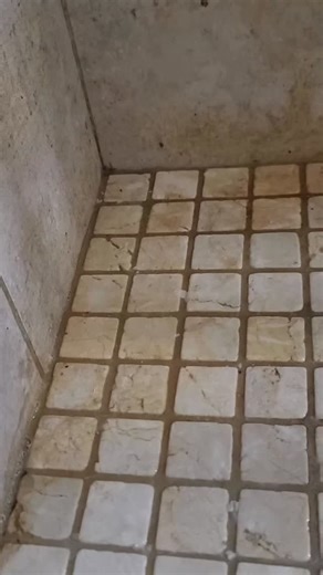 Tile and Grout Cleaning made easy. Www.bringitoncleaner.com #bringitoncleaner #cleaningmotivation #deepclean #tilecleaning | Bring It On Cleaner