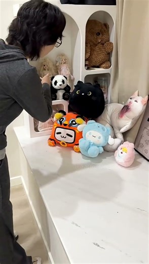 black cat 😸😺🥰 #cat #cutecat #funnycats #cute