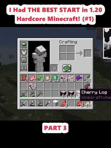 Best Start in 1.20 Hardcore Minecraft Gameplay