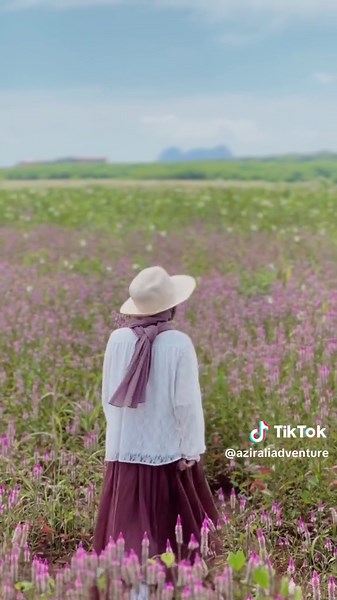 Exploring Kenaf Fields in Perlis 🌿