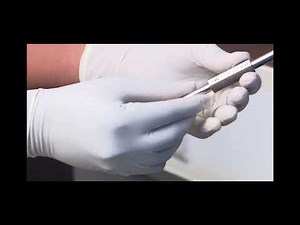 Calibration method of plain plug gauge