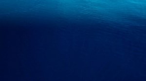 19 reactions | #ocean365 Every day of the year men and women around then world work to protect and restore our #blueplanet  . . Oceans Without Limits tells the story of one team working to understand the desperate plight of #plasticpollution and their journey across the Indian Ocean. . . Their film will premiere at the Sustainable Brands Oceans conference in Portugal this week! | World Ocean Day | Facebook