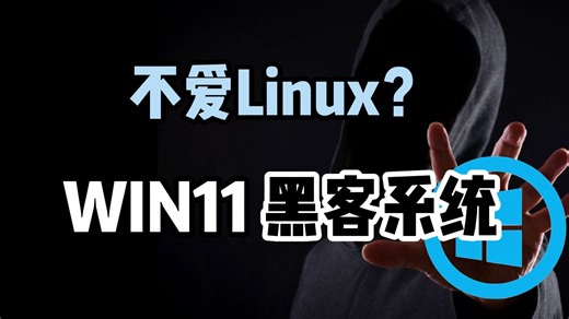 【渗透测试】用不来Linux咋办？分享一个集成渗透测试工具的Win11黑客系统（网络安全|web安全|渗透测试|漏洞挖掘|逆向工程|黑客技术）