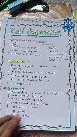 Cell And Cell Organelles ll Practical ll Project Work