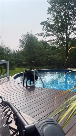 Blair Glover966 (@blairglover1)’s videos with Ima Just Do It - KB