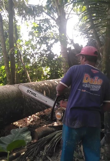 The best skill man cutting wood | Making Video