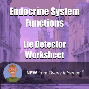 Endocrine System Functions Lie Detector Worksheet