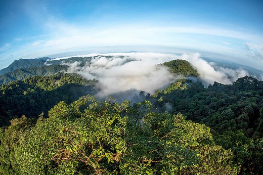Amazon Rainforest When to Go - Rainy Season, Weather, Wildlife