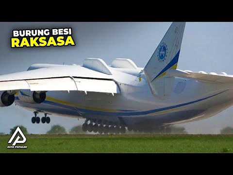 Capable of Carrying 1,000 Passengers! This is the Largest and Longest Airplane in the World