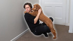 Training a Pet to Hug on Command Reveals Emotional Science
