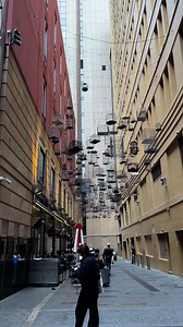 Angel Place Birdcages,a tourist attraction in Sydney🇦🇺 #touristattraction #sydney #followers | Touring Places