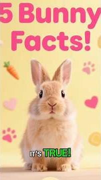 5 Facts about Bunnies You Should Know #facts #rabbit