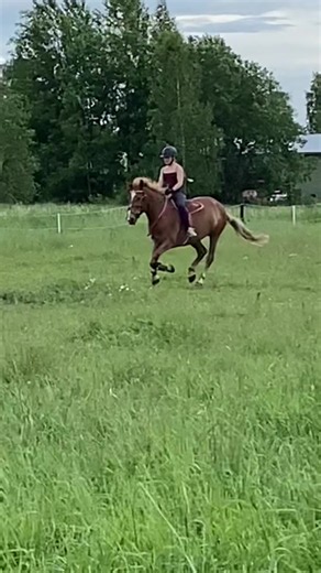 eq.anna🐴💕 (@eq.anna5)’s videos with Joutsenlaulu - Jussi Hakulinen & Yö