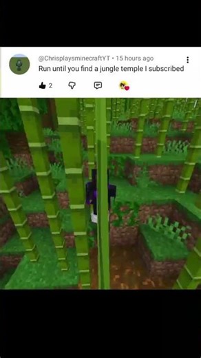 RUN UNTIL YOU FIND JUNGLE TEMPLE #minecraft