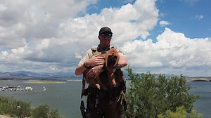 MCSO Lake Patrol has received a very special donation from the Jimmy Ryce Center for Victims of Predatory Abduction. We'd like to introduce you to K9 Nix. In a year, K9 Nix will be able to assist Deputy Bowes in tracking missing children and adults. In the meantime, they'll have lots of fun training together. #FeelGoodFriday | Maricopa County Sheriff's Office