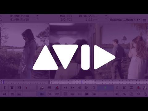 Essential Video Effects in Avid Media Composer: Introduction