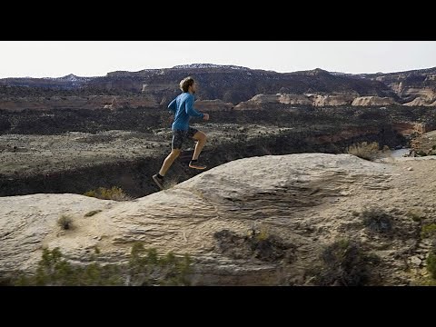 Patagonia® M's Multi Trails Shorts - 8 in.
