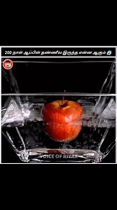 Wait for end 💥 200days 😱 . . #tamil #facts #fact #reels #voiceofbiwin #facts #tamilfacts #tamilfact #voiceover #tamilvoiceover #factintamil #amazing #random #cristianoronaldo #football #chennai #trichy #voiceofriyax #instagramreels #reel #reels #feelitreelit #trending #tamilreels #feelings #truelove #transformation #attitude #tamilreels #motivation #motivational #facts #love #motivationalquotes | Mohamed Riyas