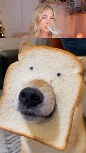 Try Not To Laugh Challenge 719