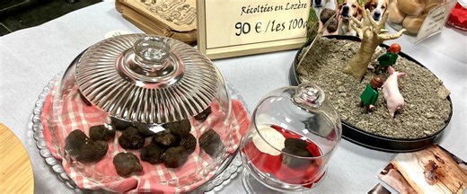 Sortir à Montpellier : marché de la truffe et du terroir, loto des Restos, Merwan Sali… des idées pour ce dimanche 25 janvier