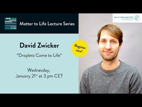 MtL Lecture Series: David Zwicker (21 January 2026)