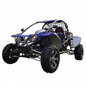 [Hot Item] Adult Sport Racing Road Legal Dune Buggy 1100cc 4X4 Offroad UTV Kart