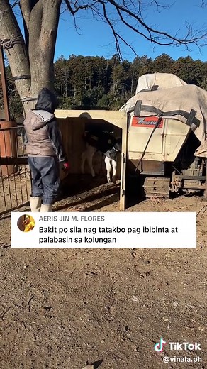 Di ko din po alam😩😂 #dairyfarmerinjapan🇯🇵🇵🇭