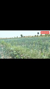 324K views · 20K reactions | "We will make you a role model" Captain Ibrahim Traoré to students in Bagré. #africanhistory #viralchallenge #IbrahimTraore #trending #trendingpost | Dabreezy Dreams Entertainment | Facebook