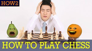 33K views · 162 reactions | Spotted a bird playing chess. I thought, “toucan play that game”. HAHAHA! Watch our Brand New HOW2: HOW TO PLAY CHESS! | The Annoying Orange | Facebook