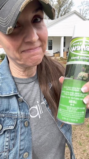 216K views · 3K reactions | I spray paint my ferns every year. I do...