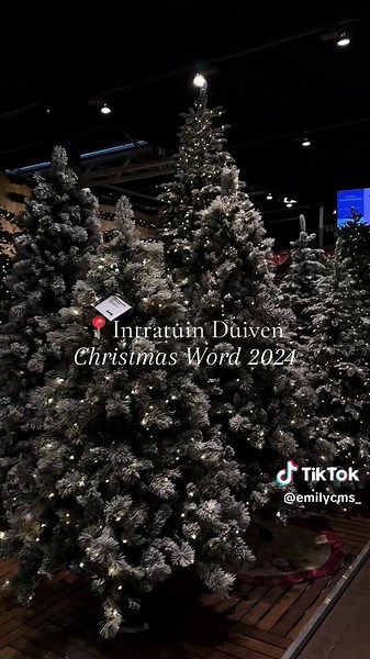 Intratuin Duiven Christmas World 2024: A Festive Delight