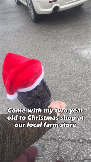 Rural King is our one stop shop for everything needed on the farm but it’s also a great store to find gifts for every relative this Christmas season! (Paid Partnership) . . . #ruralking #ruralliving #ruralprince #gradymerle #farmstore #farmlife #farmstuff #farmreels #christmasshopping #tistheseason #farmwife #farm #farmreels #farmkid #farmmom | Wallis Farm