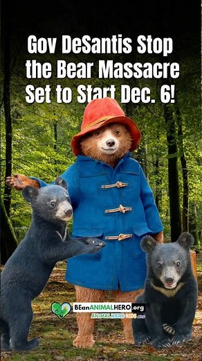 Stop the Bear Massacre!