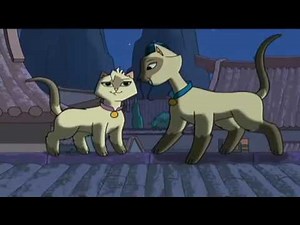 Sagwa, the Chinese Siamese Cat 003