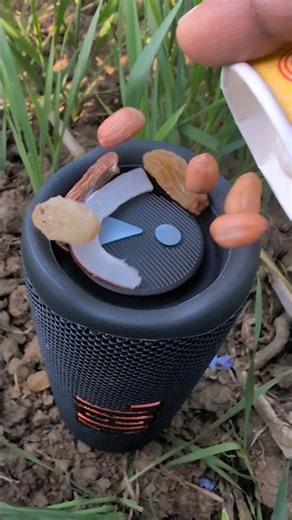 JBL Bass Test dry fruits 😮