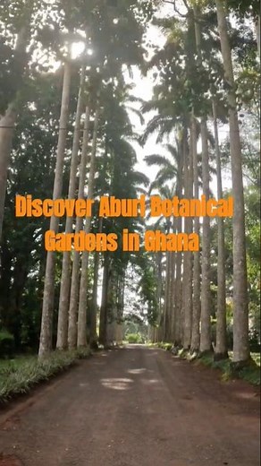 Discover the HIDDEN Gem of Africa's Botanical Garden