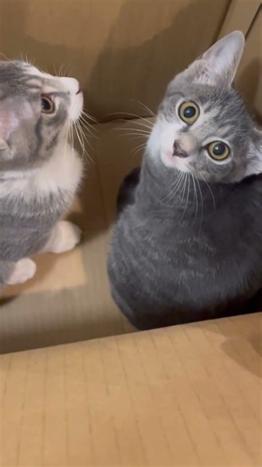 そこにあったらとりあえず入りますよね