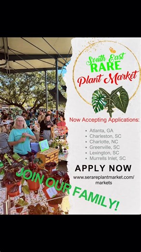 SE Rare Plant Market LLP on Instagram: "🌿✨ VENDORS — THIS IS YOUR SIGN! ✨🌿 Vendor applications for the South East Rare Plant Market (SERPM) are officially OPEN for all locations, and spots will fill fast! From common, rare and collector plants to artisan growers and specialty plant goods, our markets bring together thousands of passionate plant lovers who are ready to shop, connect, and fall in love with your booth. 🌱🔥 To apply, visit our website, head to the SERPM Market page, and click the