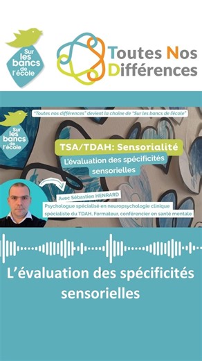 "Sur les bancs de l'école" on Instagram: "🎥 Nouvelle vidéo - TSA / TDAH : sensorialité Épisode 6 - L'évaluation des spécificités sensorielles Avant de proposer des adaptations ou des aménagements, il est important de comprendre le fonctionnement sensoriel de la personne. L’évaluation sensorielle constitue une étape clé pour orienter l’accompagnement. Dans ce nouvel épisode, Florent Legendre échange avec Sébastien Henrard autour d’un point incontournable : le bilan sensoriel. Ils abordent notamm