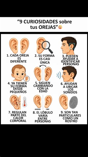 👂😱 "9 CURIOSIDADES sobre tus OREJAS que casi NADIE CONOCE" 🤯