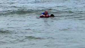 37K views · 5.4K reactions | One of our favorite memories of Leia❤️❤️ She hated when we were at the beach and would go out to far. So she would swim out and pull us back in. We called her "Leia the lifeguard"❤️ | Luke The Boxer | Facebook