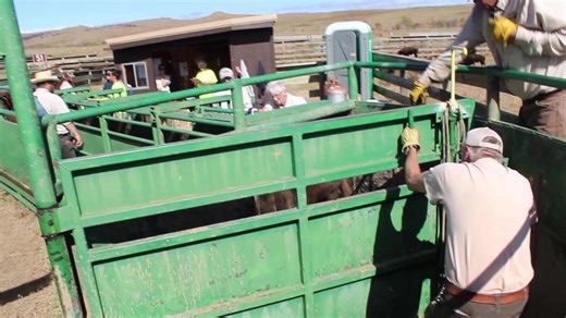 7.9K views · 241 reactions | Join us for the 58th Annual Fall Classic...