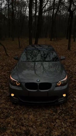 BMW x Gata Only 😍 #bmw #automobile #bmwm5 #bmws1000rr