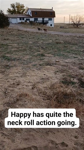 at #chezbriggs | Gillian Smith