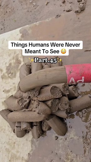 Unbelievable Sights: Lightning Strikes, Bats, and Sand Crabs on the Beach