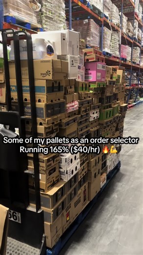 Maximizing Earnings as an Order Selector in the Warehouse