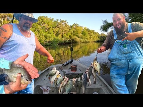 FISHING a BREAM Tournament on the Altamaha RIVER in Georgia