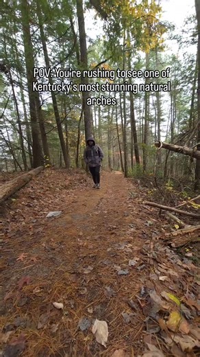 1.2K views · 67 reactions | This is your sign to hike to Rockbridge...