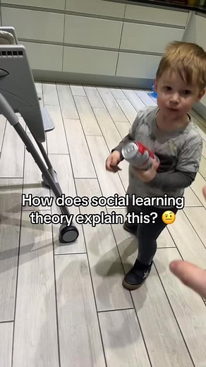 Understanding Social Learning Theory in Psychology Studies