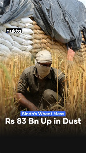 Nukta Pakistan on Instagram: "The Sindh Cabinet, led by Chief Minister Murad Ali Shah, has approved a staggering Rs 83.69 billion loss to the provincial exchequer. ⁣ ⁣ Official reports reveal that 120,000 tons (1.2 million bags) of wheat, worth Rs 18.46 billion, have spoiled in government warehouses due to years of mismanagement and corruption.⁣ ⁣ Despite the decay, the government plans to sell the remaining stock at Rs 9,500 per 100 kg, incurring an additional Rs 65.24 billion loss. ⁣ ⁣ As mill